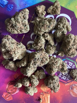 IMG_2582.jpeg