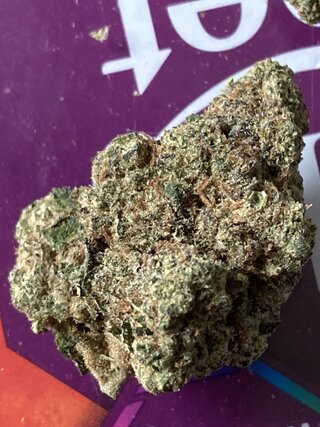 IMG_2601.jpeg