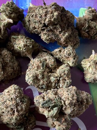 IMG_2600.jpeg