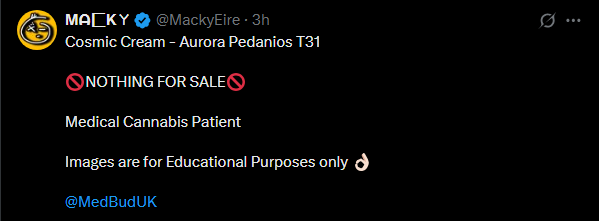 1753970389864.png