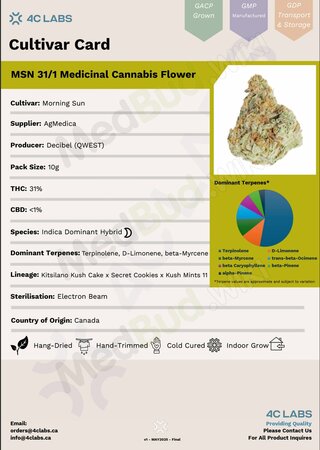 Screenshot_6-8-2025_162253_files.medbud.wiki.jpeg