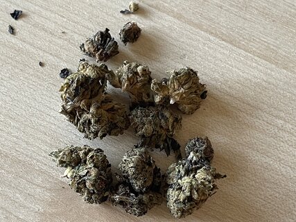 IMG_2718.jpeg