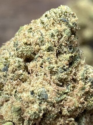IMG_2679.jpeg