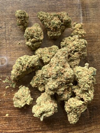 IMG_2681.jpeg