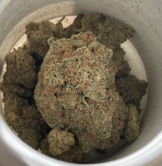 IMG_2712.jpeg