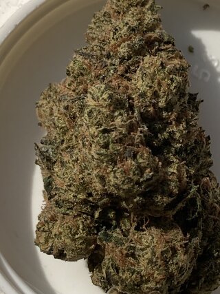 IMG_2717.jpeg