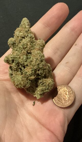 IMG_1982.jpeg