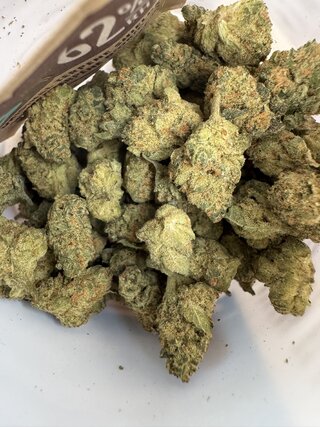 IMG_7299.jpeg