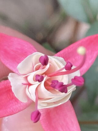 IMG_2734.jpeg