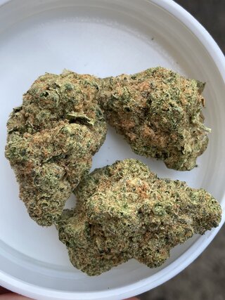 IMG_2745.jpeg