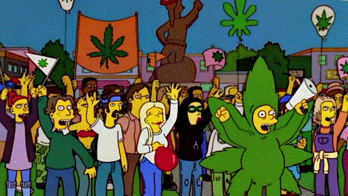 medical-marijuana.gif
