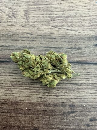 IMG_0474.jpeg