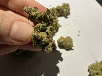 IMG_2053.jpeg