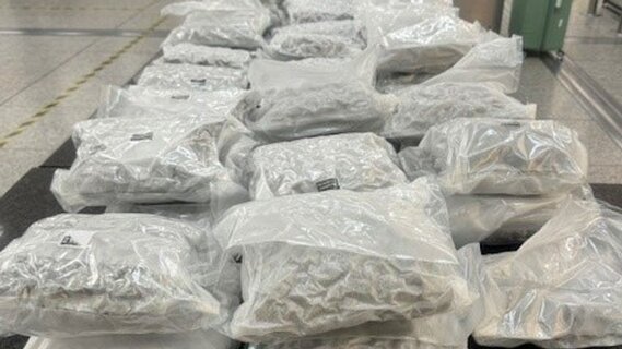 The cannabis seized at Stansted Airport. Pic: NCA