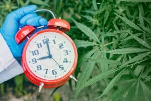 ntdown-legalization-medical-herbal-concept-300x200.jpg