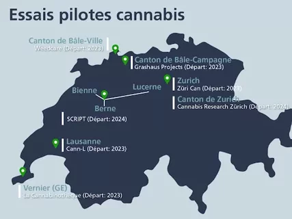 Pilot-Trials.webp