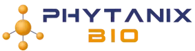 31ba8cbae31531b18b08b067fdb8a677.webp