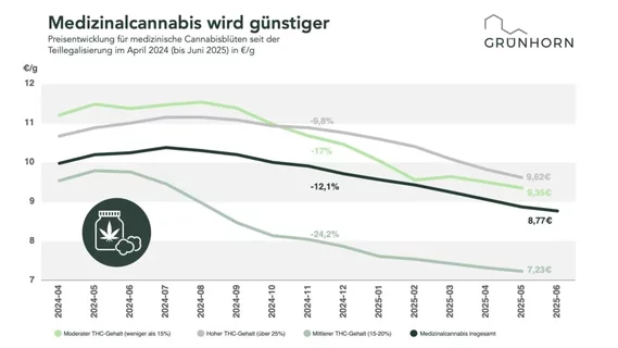 Infografik_Preisentwicklung-1024x576-1.webp