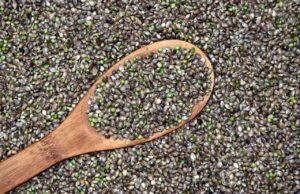 hemp-cannabis-seeds-300x194.jpg