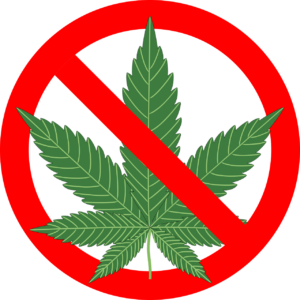 cannabis-g5bff01fbf_1280-300x300.png
