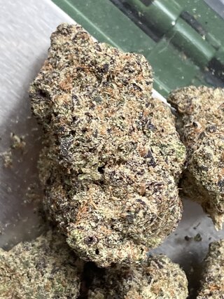 IMG_2787.jpeg