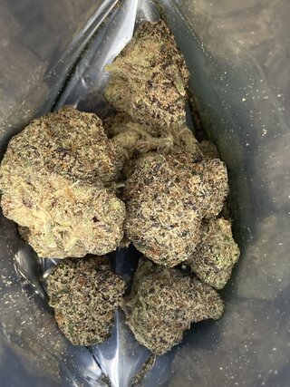 IMG_2788.jpeg