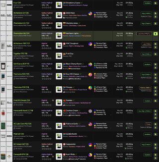 Screenshot_12-9-2025_16223_medbud.wiki.jpeg