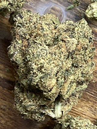 IMG_2799.jpeg