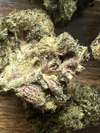 IMG_2800.jpeg