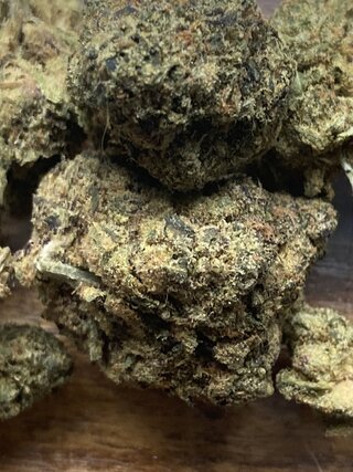 IMG_2802.jpeg