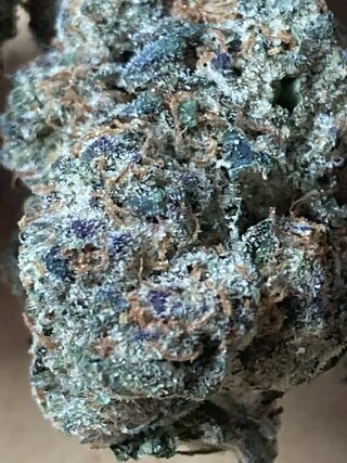 IMG_2832.jpeg