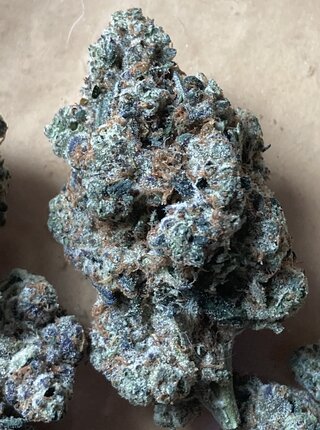 IMG_2830.jpeg