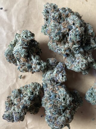 IMG_2831.jpeg