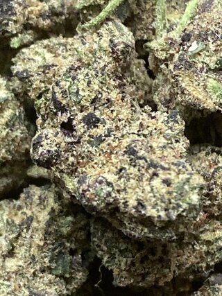 IMG_2839.jpeg