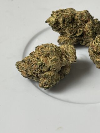 IMG_6279.jpeg