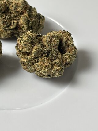 IMG_6280.jpeg