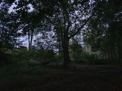 20250926_191945.jpg