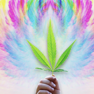 MCovergrow