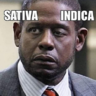 HashPotHead