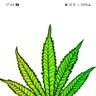 oldschoolbudz