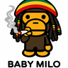 BabyMilo