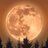 GrapefruitMoon