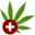 forums.medbud.wiki