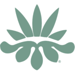 patientscann.org.uk