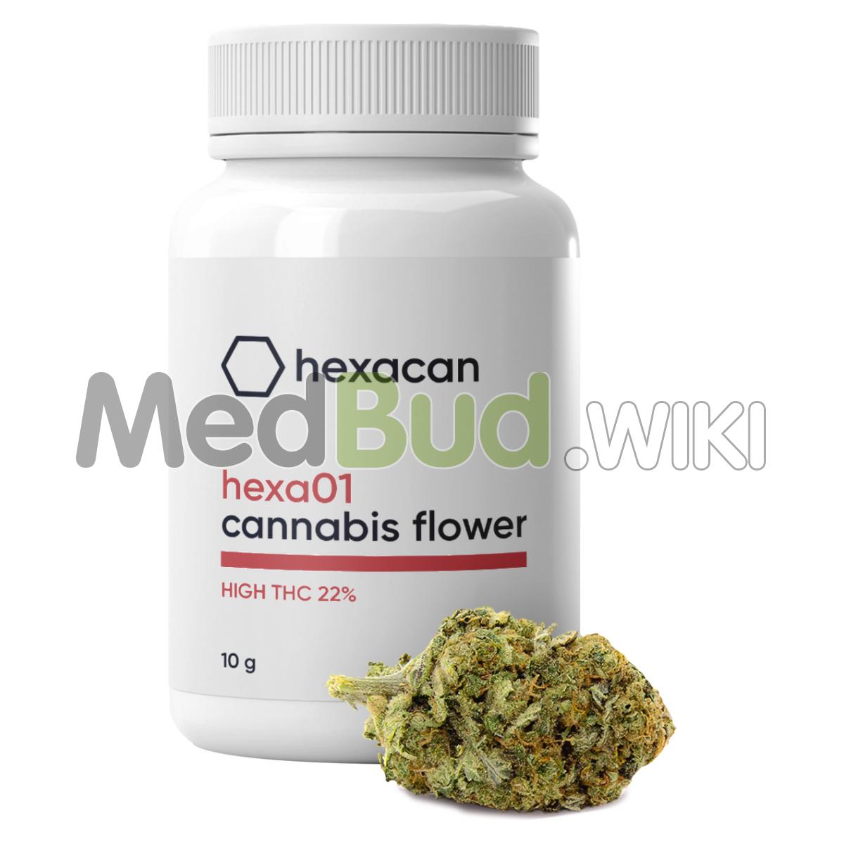 medbud.wiki