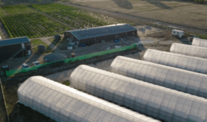ECS-facility-300x177.png