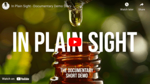 In-Plain-Sight-300x169.png