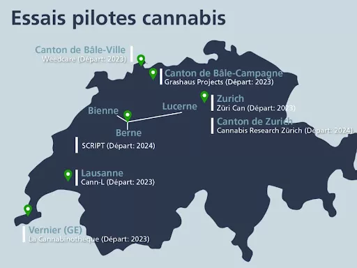 Pilot-Trials.webp