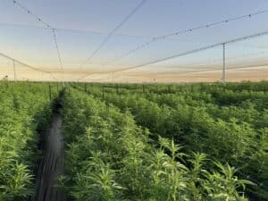 MedTEC-crop-300x225.jpeg