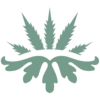 patientscann.org.uk
